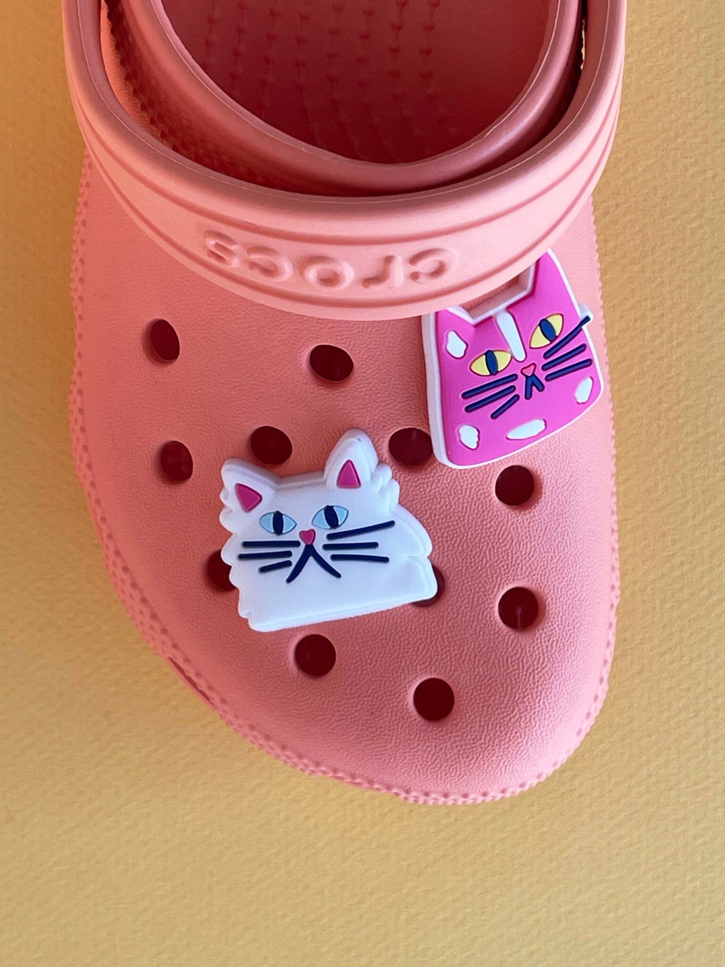 Cats Croc Clog Charms
