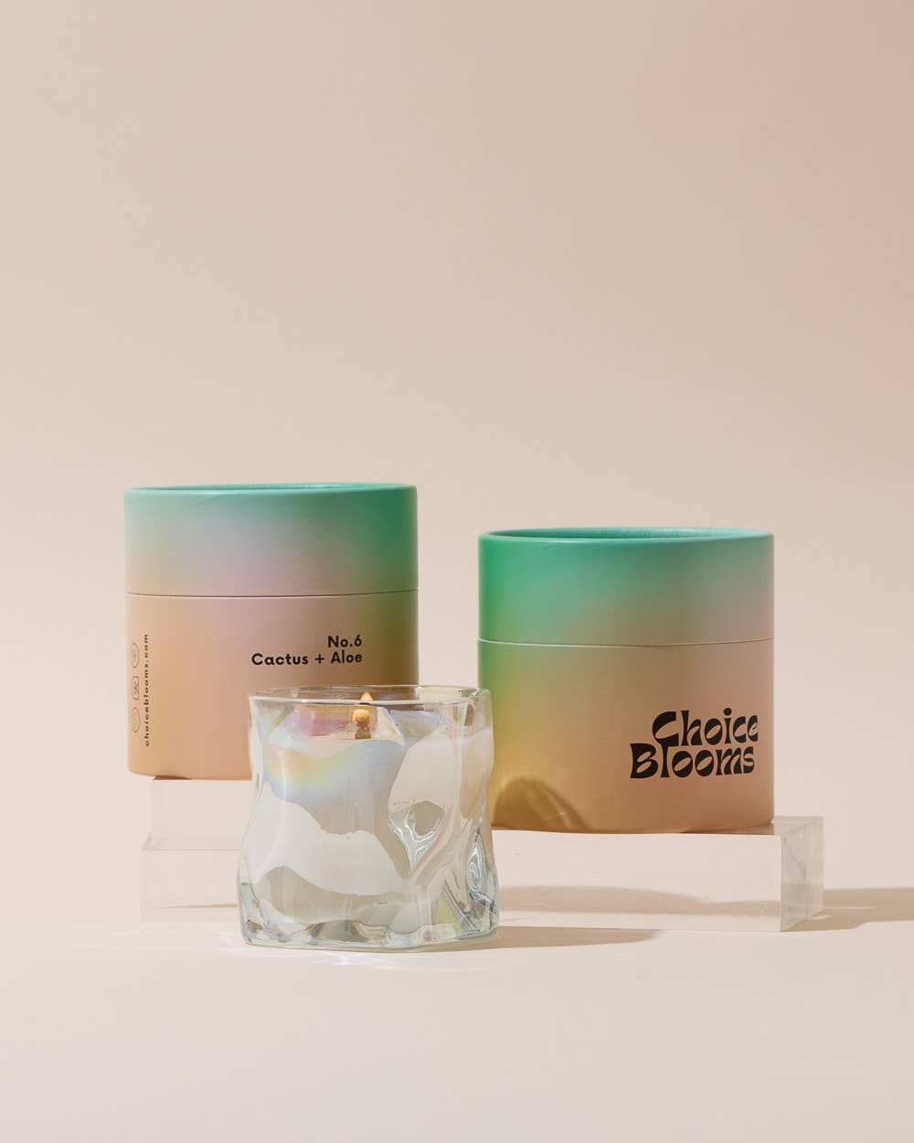 No. 6 Cactus + Aloe Candle