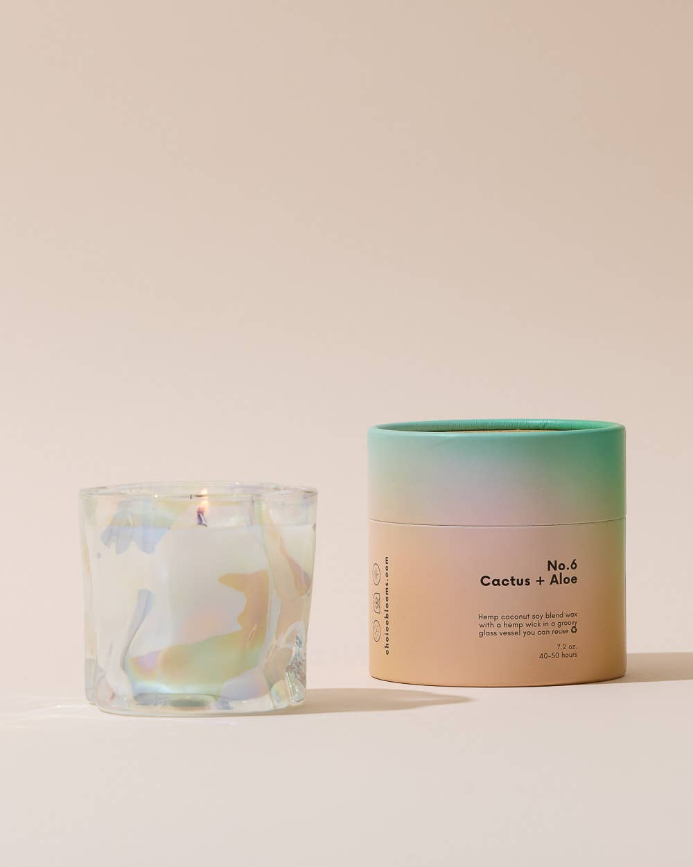 No. 6 Cactus + Aloe Candle