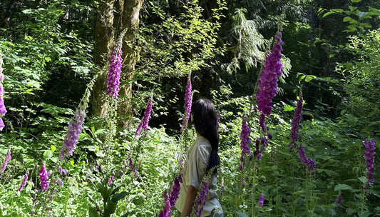 Darla walks through purple foxgloves in the Oregon wilderness.