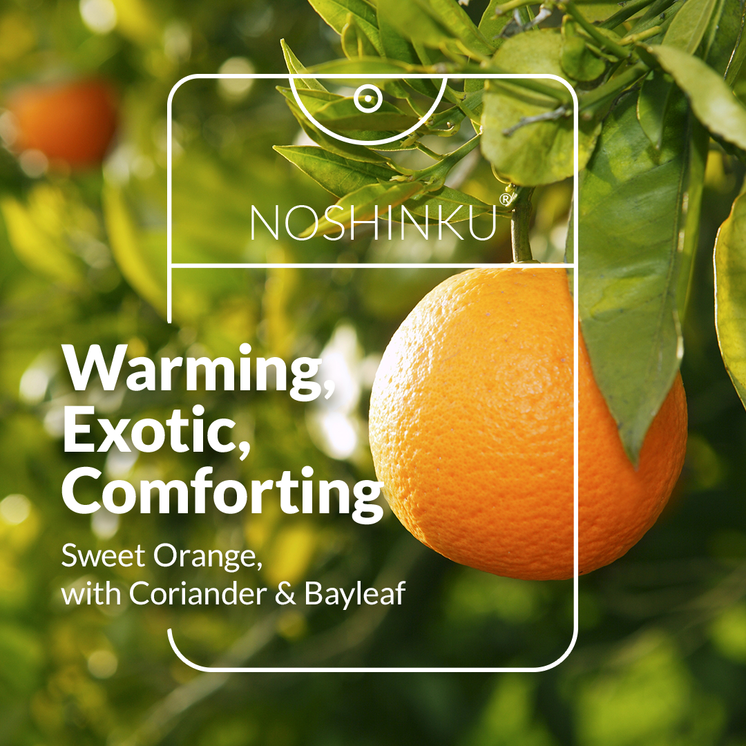 Orange Coriander Hand Sanitizer Refill Pouch