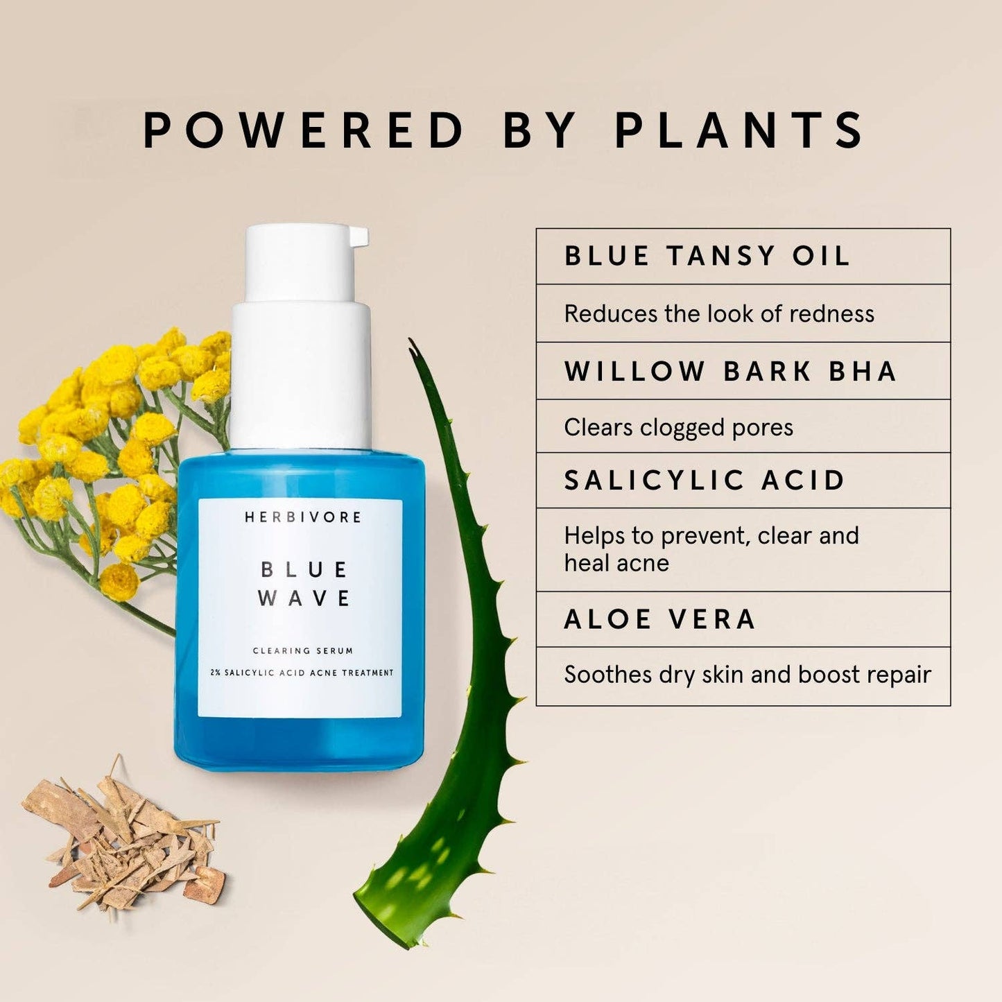 Blue Wave 2% Salicylic Acid Medicated Acne Clearing Serum