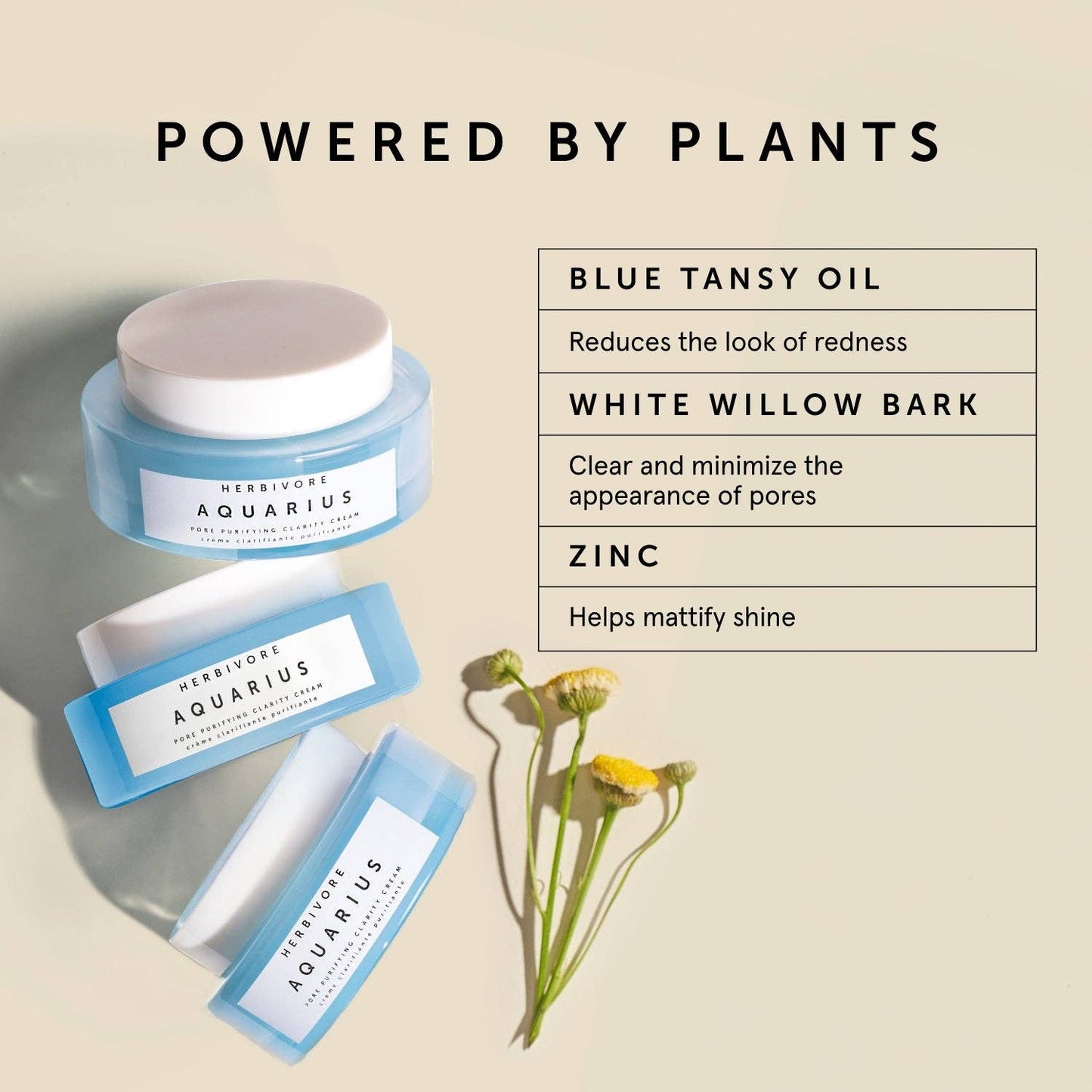 Aquarius Pore Purifying Clarity Cream