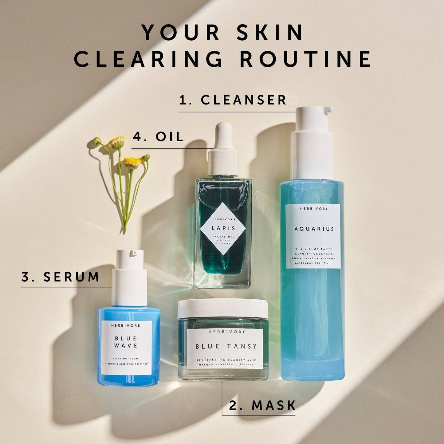 Aquarius BHA + Blue Tansy Clarity Cleanser