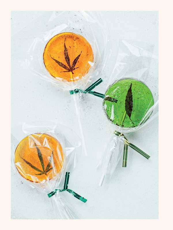 Weed Gummies Cookbook by Monica Lo