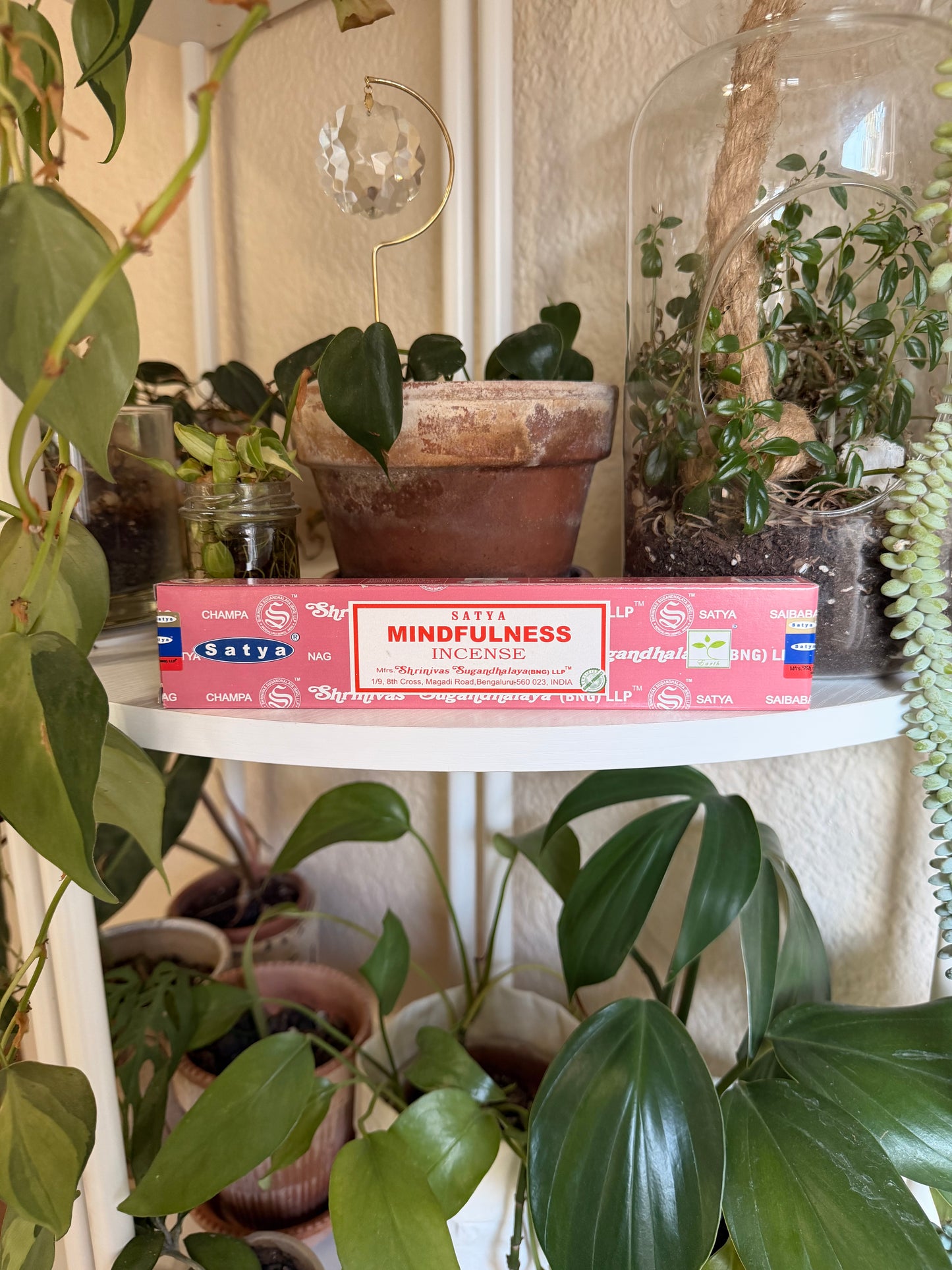 Satya Nag Champa Mindfulness Incense