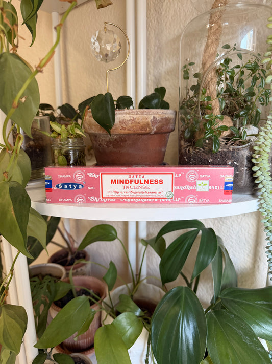 Satya Nag Champa Mindfulness Incense