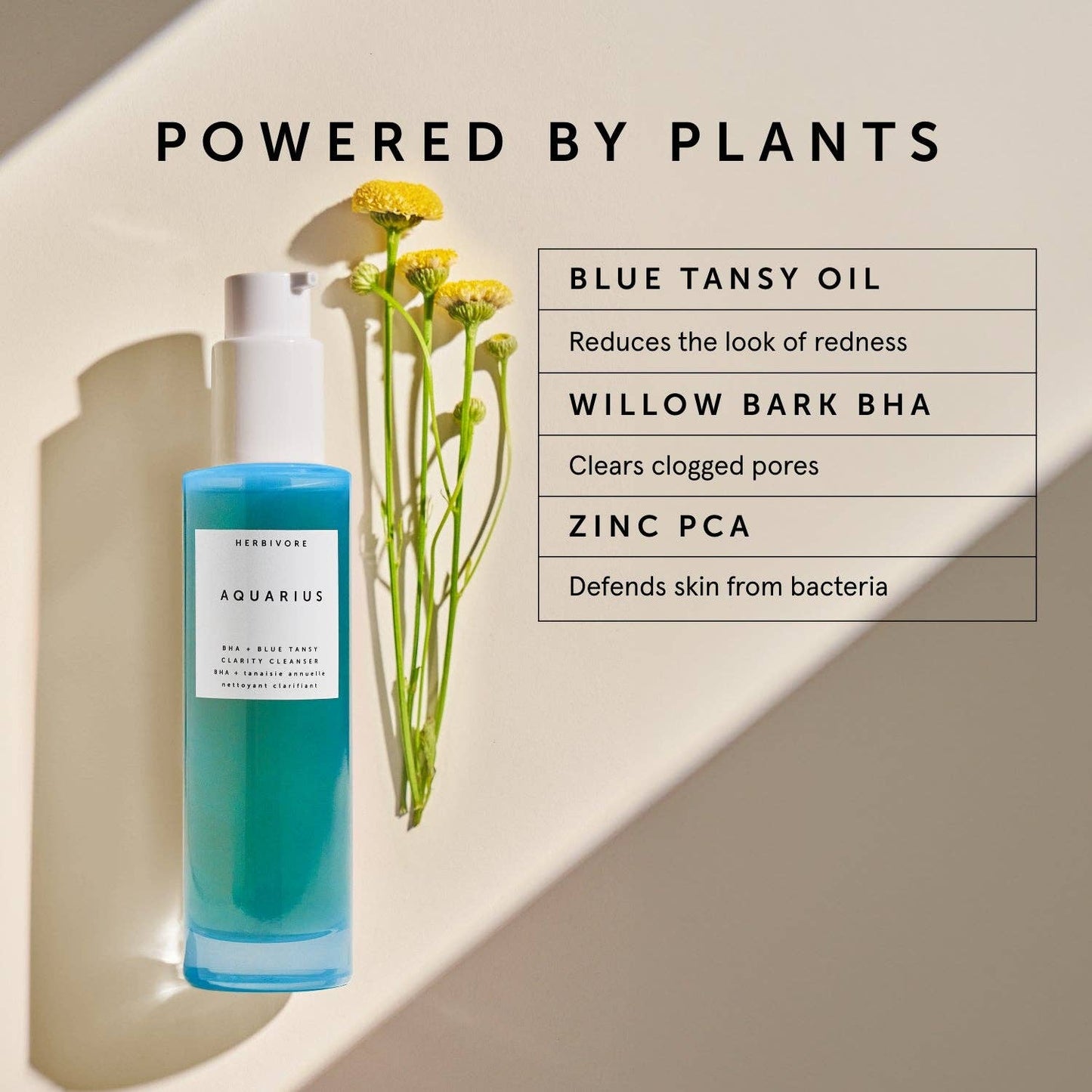 Aquarius BHA + Blue Tansy Clarity Cleanser